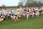 Senior womens Inter Counties Cross Country, Prestwold Hall, Loughborough. Photo: David T. Hewitson/Sports for All Pics